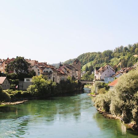 Business I Family Apartment I 1-4 Personen - Aare Blick, Nahe Altstadt I Beamer - 99" Leinwand I Terrassen Lounge Und Parkplatz Brugg  Luaran gambar