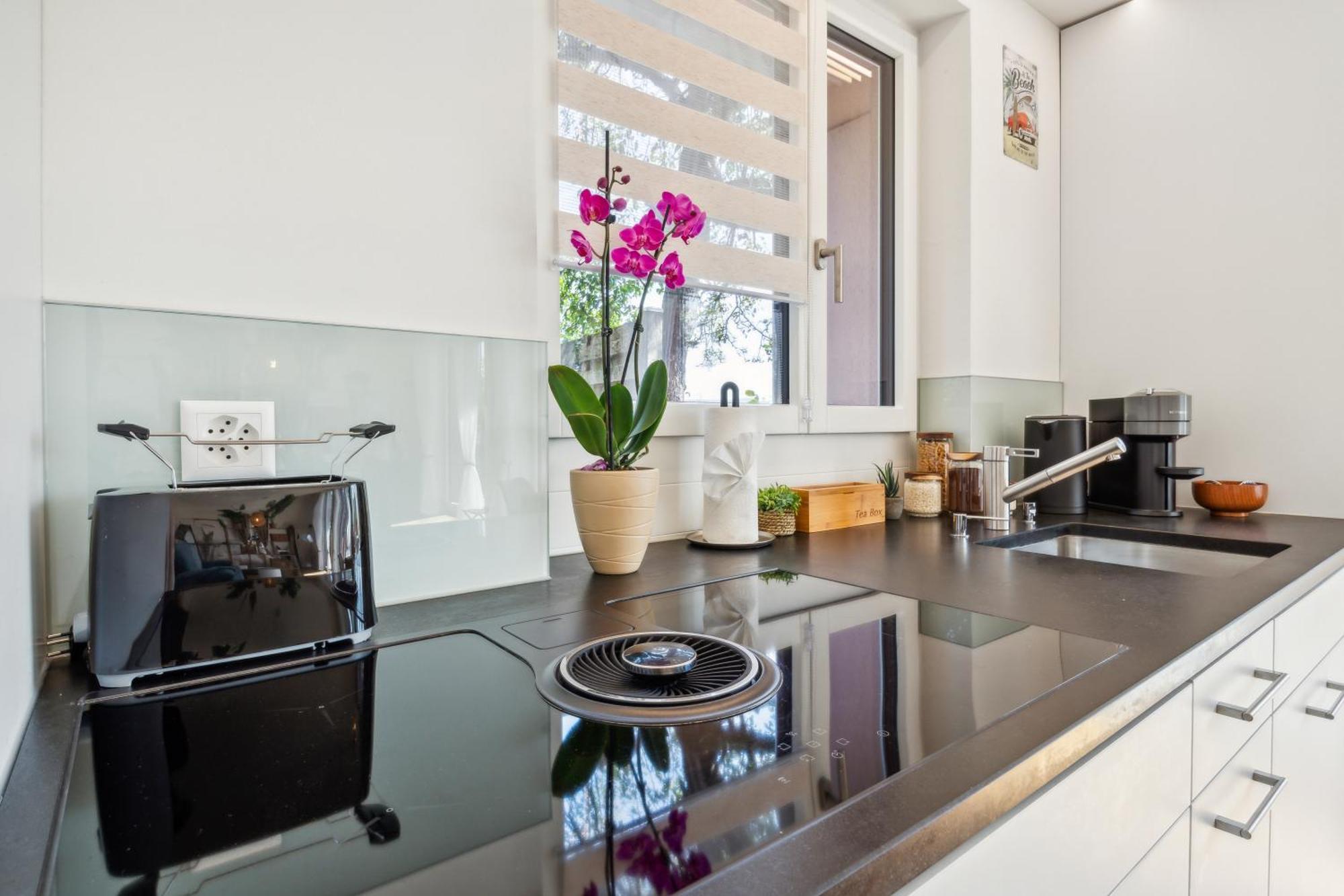 Business I Family Apartment I 1-4 Personen - Aare Blick, Nahe Altstadt I Beamer - 99" Leinwand I Terrassen Lounge Und Parkplatz Brugg  Luaran gambar